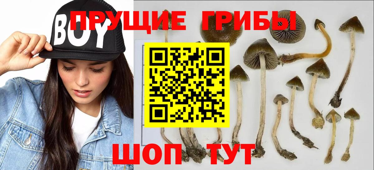 Асбест  Галлюциногенные грибы Psilocybine cubensis  Вход с VPN 